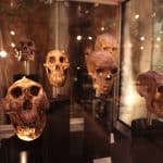 ultimo refugio de los dinosaurios_04