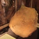 ultimo refugio de los dinosaurios_05