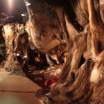 ultimo refugio de los dinosaurios_09