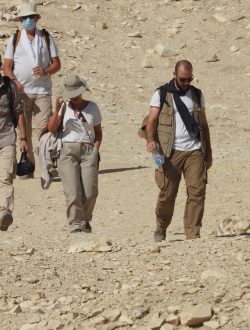 292adc7c-fbc7-4b2e-9090-15e9c8d4faa6