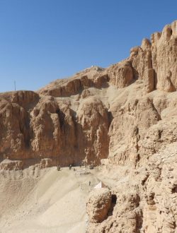 29765c37-c018-4b15-91c2-e0fcb51c2b03