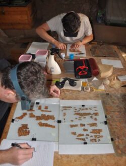 Papyri_StudyAndRestoration02