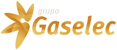 Grupo Gaselec